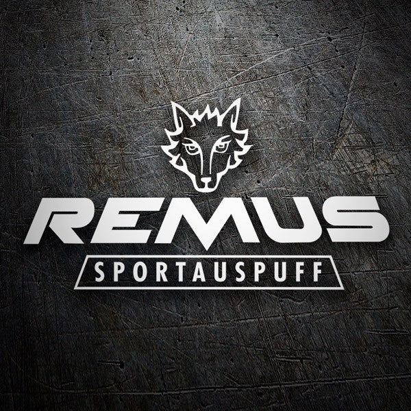 REMUS | Escapes Deportivos y Sistemas de Escape Performance