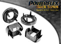 Trasero Subchasis Trasero Montaje Insert Powerflex PFR5-421BLK APEXCORSE