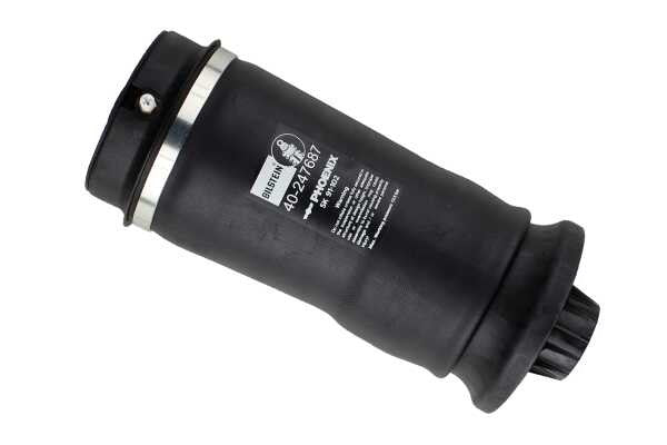 Bilstein B3 MUELLES(AIRMATIC) TRASERO RANGE ROVER III L322 H B3AM | Suspensión Premium APEXCORSE