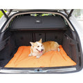 COJIN COCHE PERRO 2 CARAS