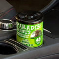 PERFUMADOR LATA GEL PINO 100GR PARADISE CS12