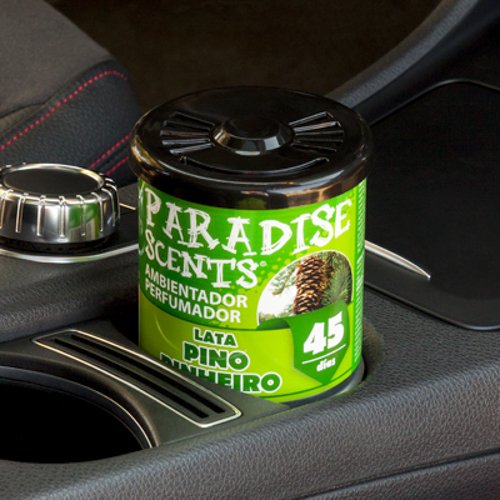 PERFUMADOR LATA GEL PINO 100GR PARADISE CS12