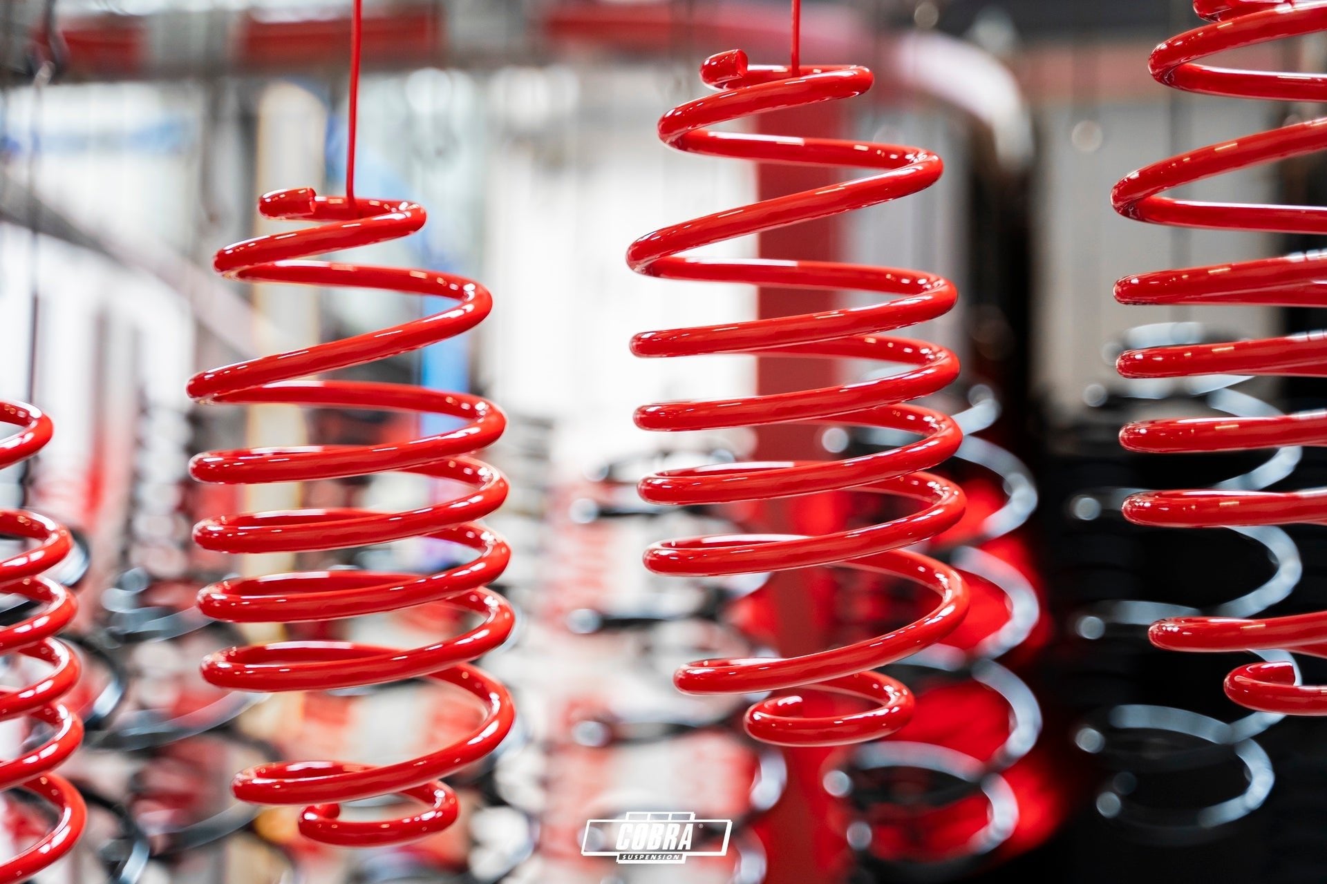 MUELLES DEPORTIVOS COBRA 00.2843 | para Ford Cougar Ec Coupe | 2.0