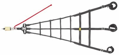 OMP RACING NET - OMP original APEXCORSE imagen 1